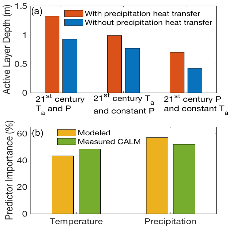 Two color-coded graphs. (A) on Active Layer Depth and precipitation heat transfer. (B) Predicator Importance (%) with temperature and precipitation.