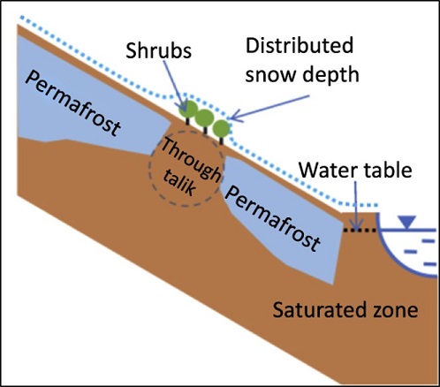 Schematic of modeling transect.